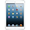 Apple iPad mini 16Gb Wi-Fi + Cellular белый - Калининград