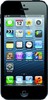 Apple iPhone 5 16GB - Калининград